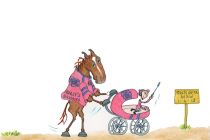 Ashley's Bambino MSW