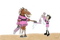 Book Review 2013 A Gleam Handicap