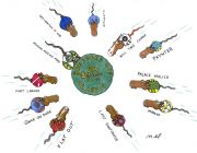 Mucho Macho Man 2013 Breeders' Cup Egg