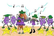 California Chrome 2014 San Felipe Stakes