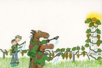 Cerro 2013 Spiral Stakes