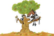 Doinghardtimeagain 2013 Hollywood Oaks