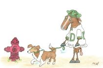 Gold Edge 2012 Arlington-Washington Lassie