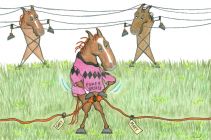 Power Brower Plugged In