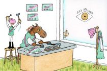 Seek Again 2013 Hollywood Derby