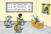 The 2015 Spring Classics